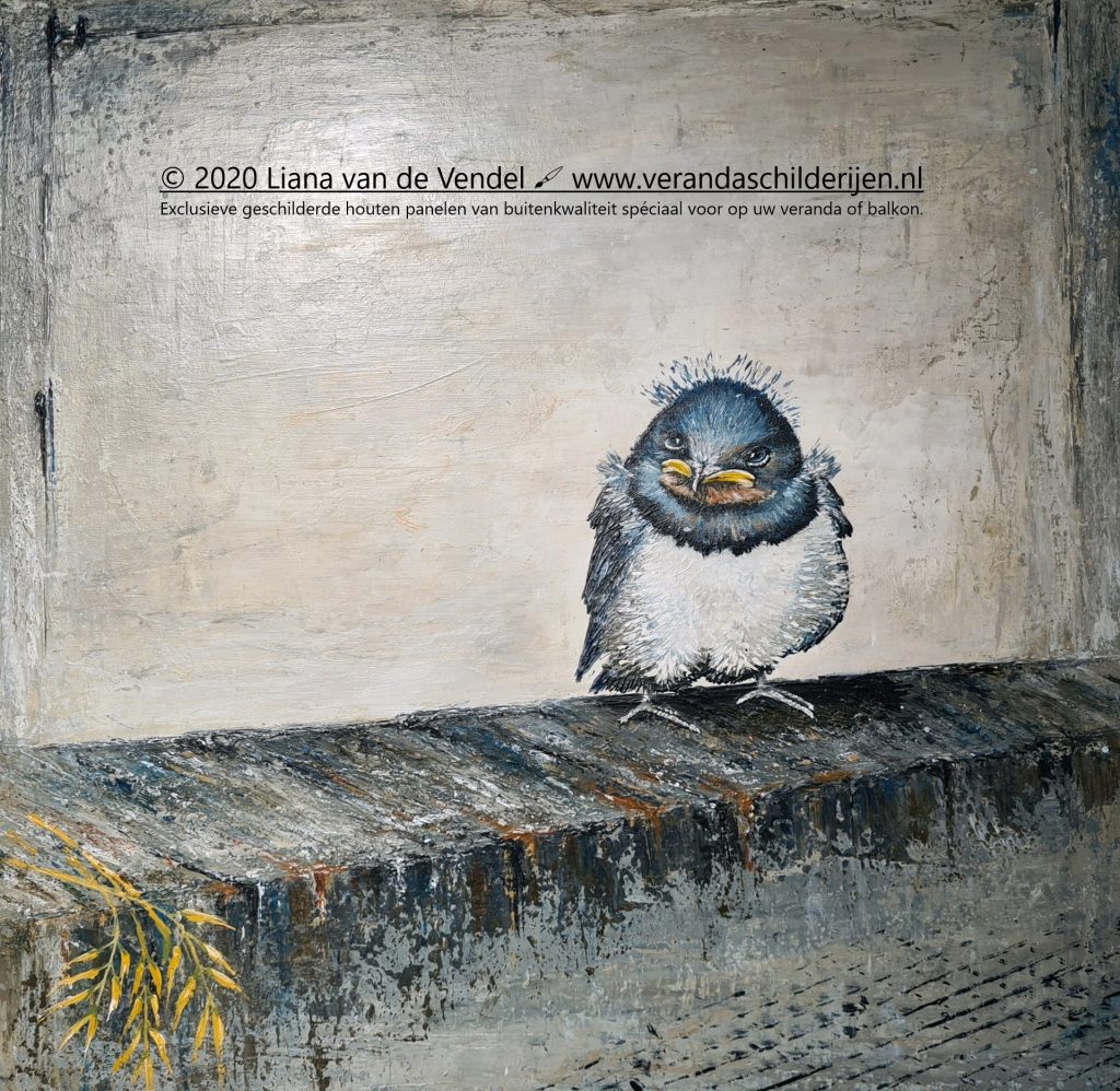 IN OPDRACHT] ‘Zwaluwenjong uit nest‘ – acryl op doek [50x50cm] Prijs origineel: VERKOCHT!